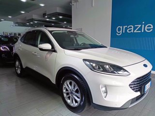 FORD Kuga 1.5 EcoBlue 120 CV 2WD Titanium Business